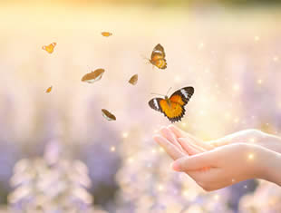 Mensagens lindas com borboletas