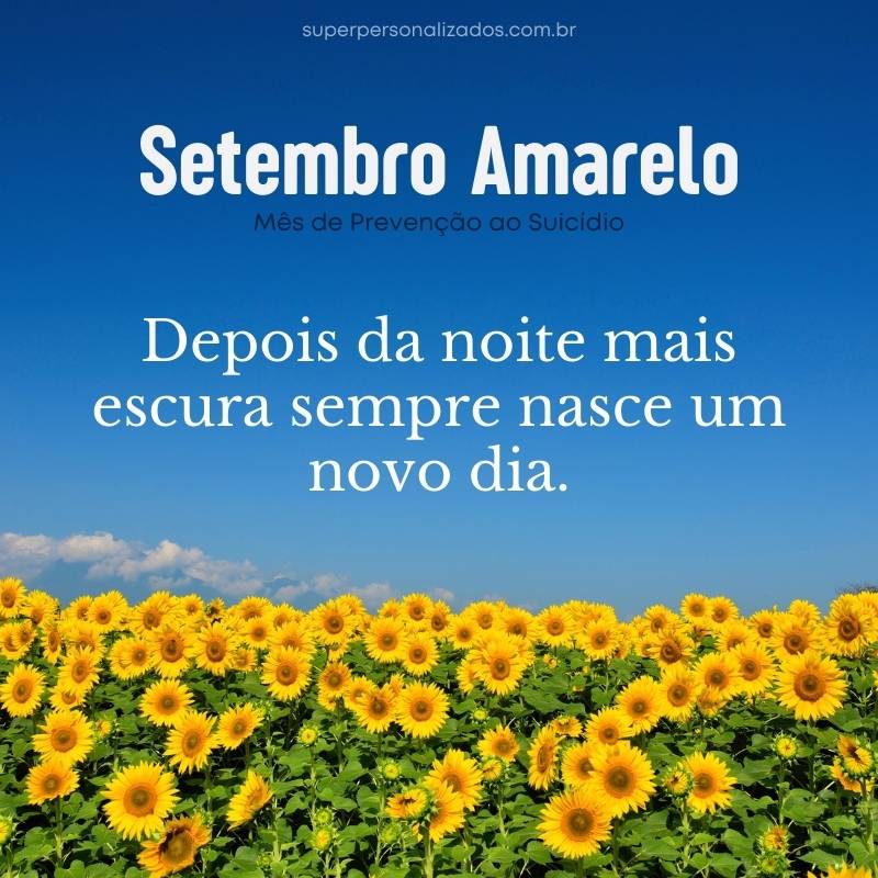 Frase de Setembro Amarelo