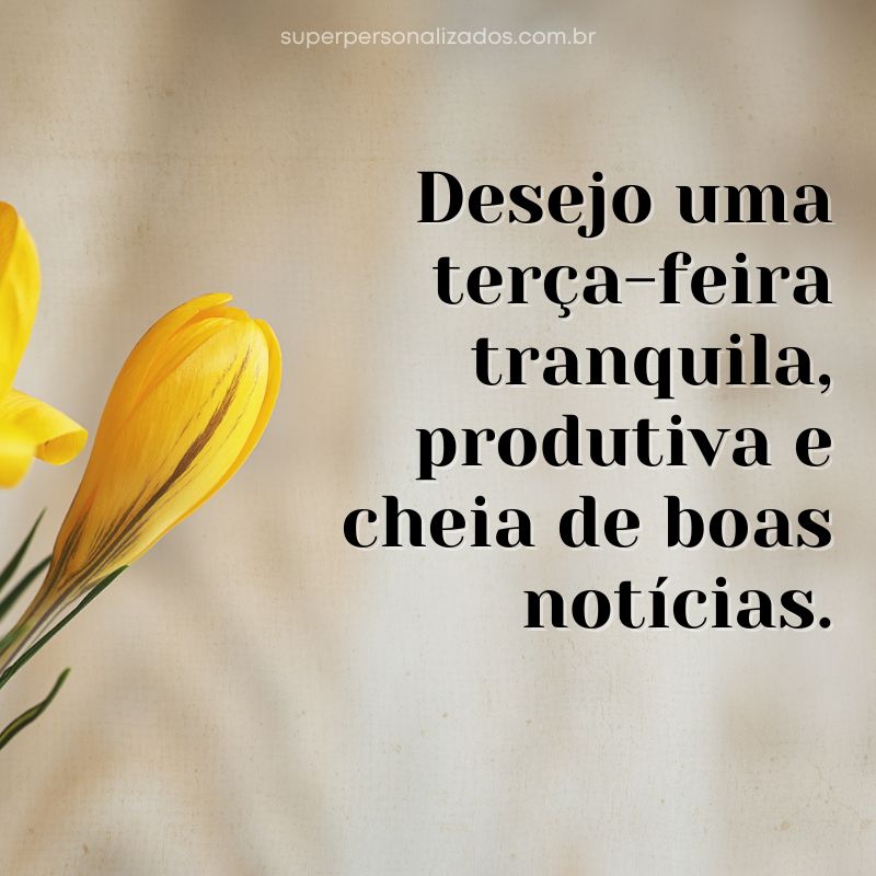 Frase de Boa Terça-feira