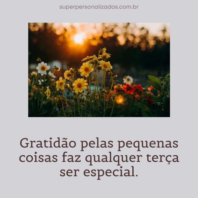 Mensagem para Terça-feira