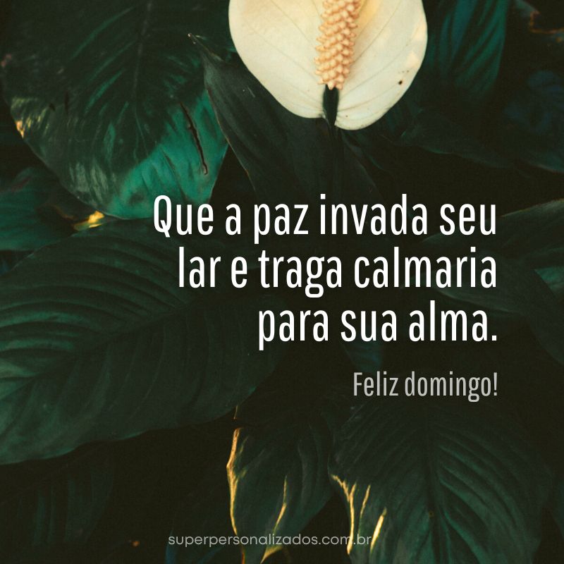 Felzi Domingo - Mensagem