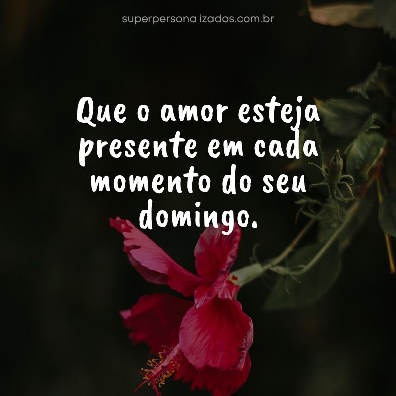 Mensagem de Feliz Domingo para Whatsapp