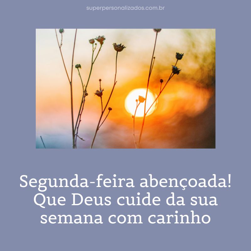 Mensagem de Boa Srgunda-feira