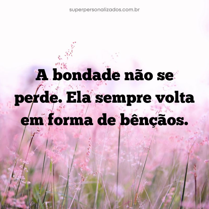 Mensagem Espírita de Reflexão