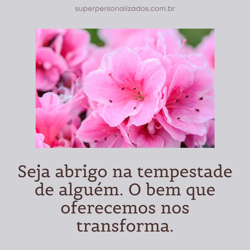 Mensagem de Reflexão Espírita