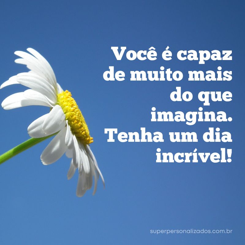 Reflexões para um Bom Dia