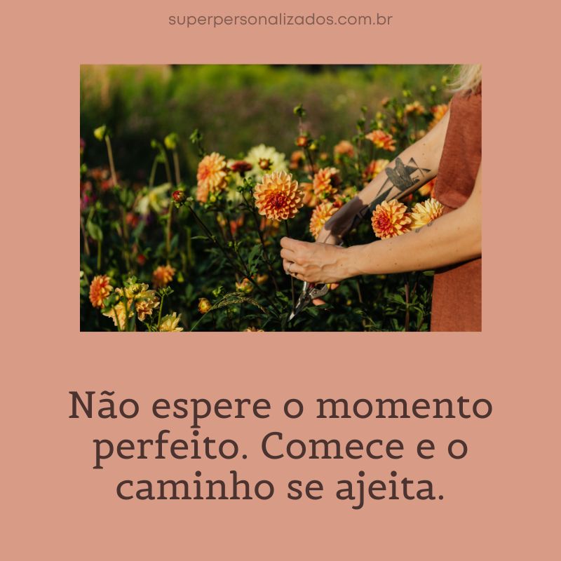 Reflexão de Bom Dia